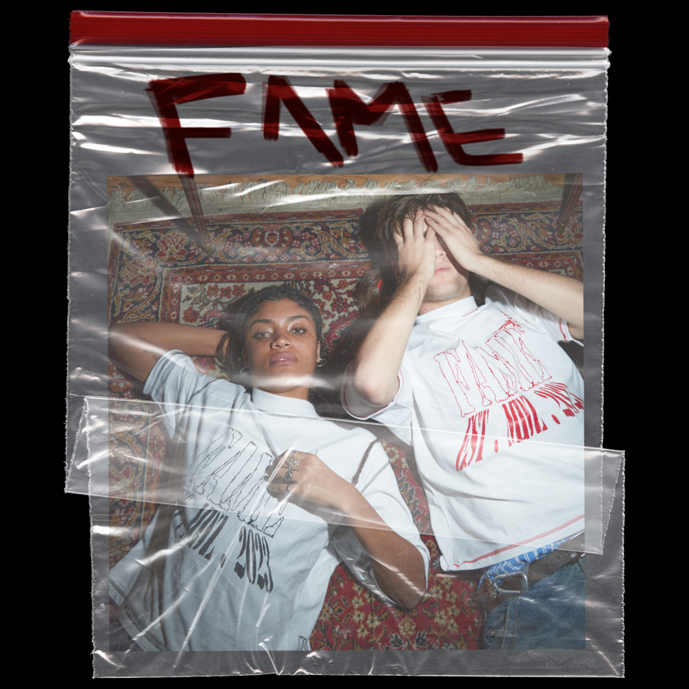 imagen destacada de proyecto Fame